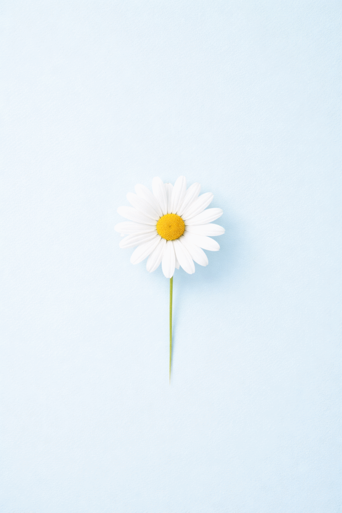 Adorable Wallpapers for Mobile