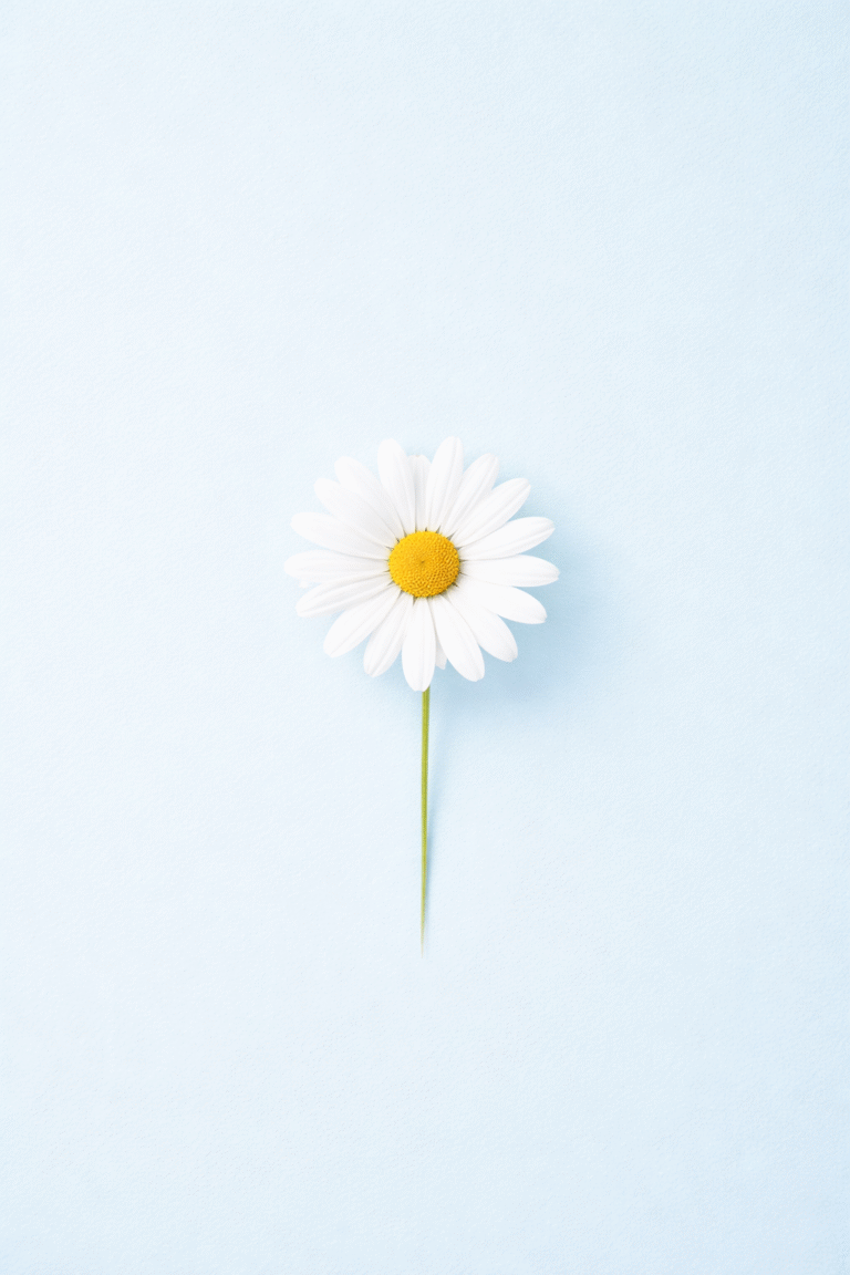 Adorable Wallpapers for Mobile