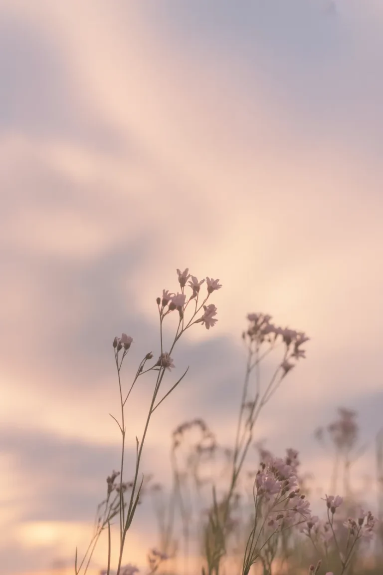 floral wallpaper for mobile
