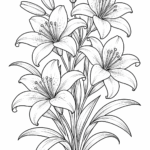 Lily flowers coloring pages free printable