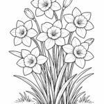 Daffodils coloring pages free printable