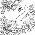 5 birds coloring pages free printable