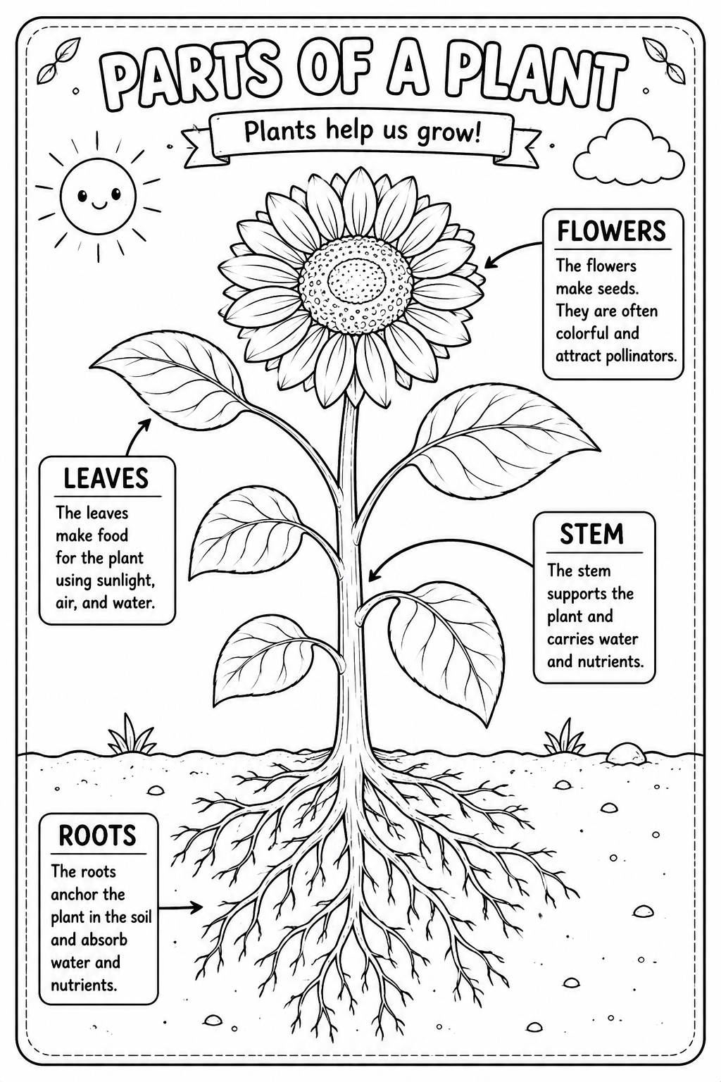 Parts of a plant coloring pagesfree printable