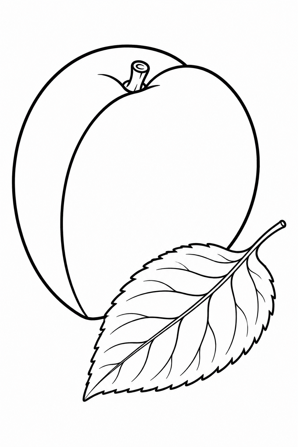 5 Apricot coloring pages free printable