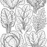 5 Leafy Vegetables coloring pages free printable