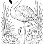 5 Flamingo coloring pages free printable