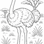 5 Ostrich coloring pages free printable
