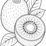 Kiwi coloring pages