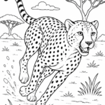 Cheetah coloring pages free printable