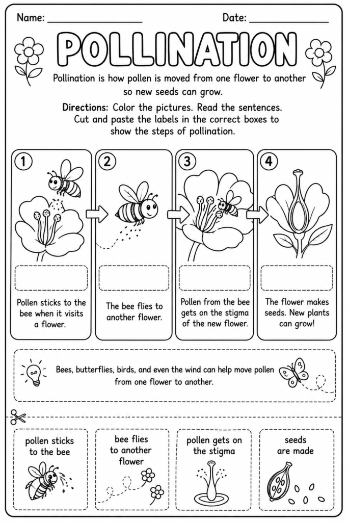 science worksheets free printable