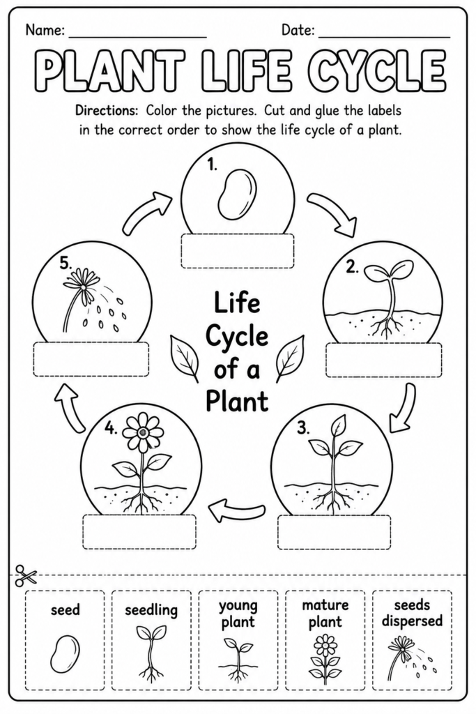 science worksheets free printable