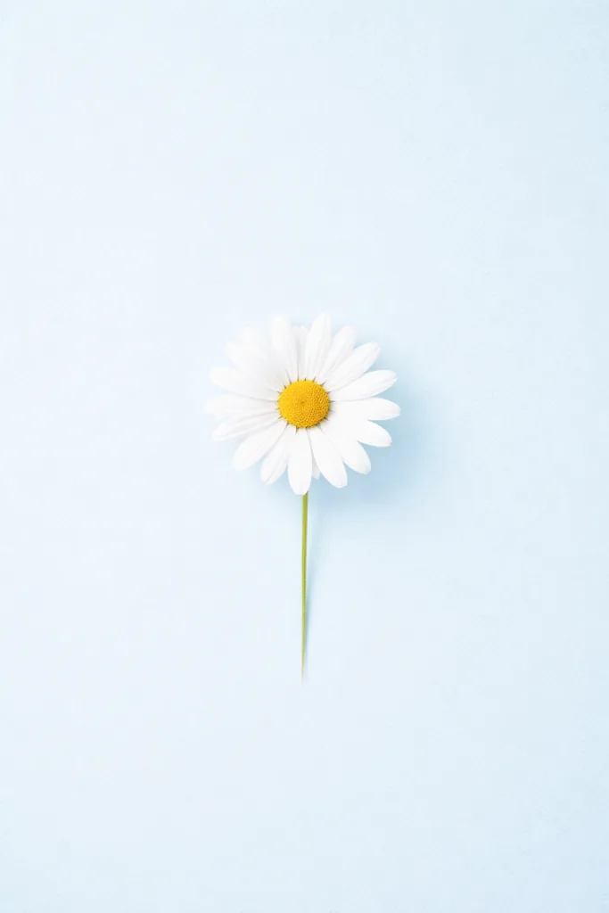 Adorable Wallpapers for Mobile - Aesthetic Your Phone - Design 2