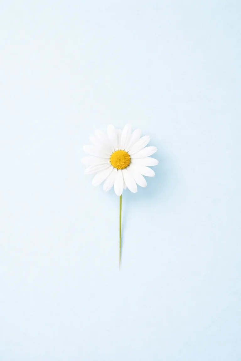 Adorable Wallpapers for Mobile