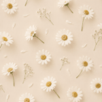 Free Aesthetic Wallpapers