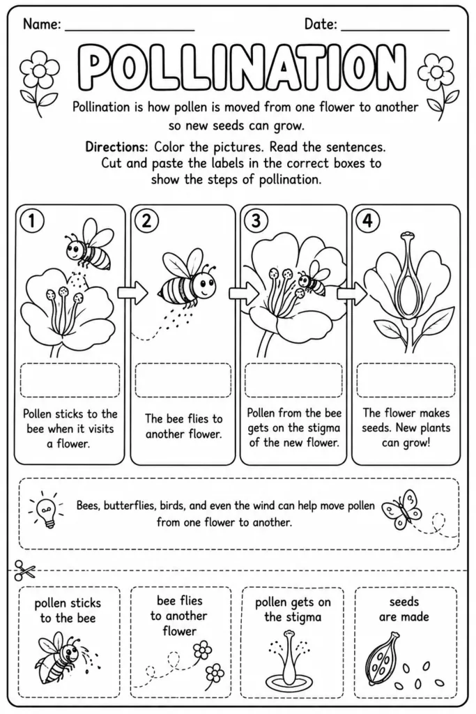 Science Design 12 - Science Worksheets Free Printable for Kids - Educational