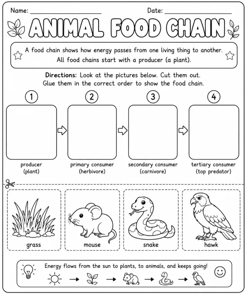 Science Design 5 - Science Worksheets Free Printable for Kids - Educational