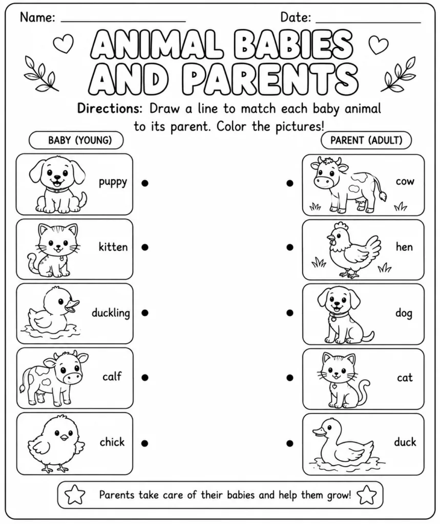 Science Design 9 - Science Worksheets Free Printable for Kids - Educational